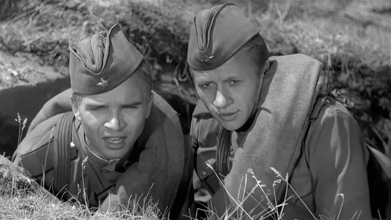 Maksim Perepelitsa backdrop