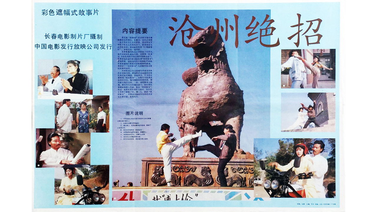 沧州绝招 backdrop