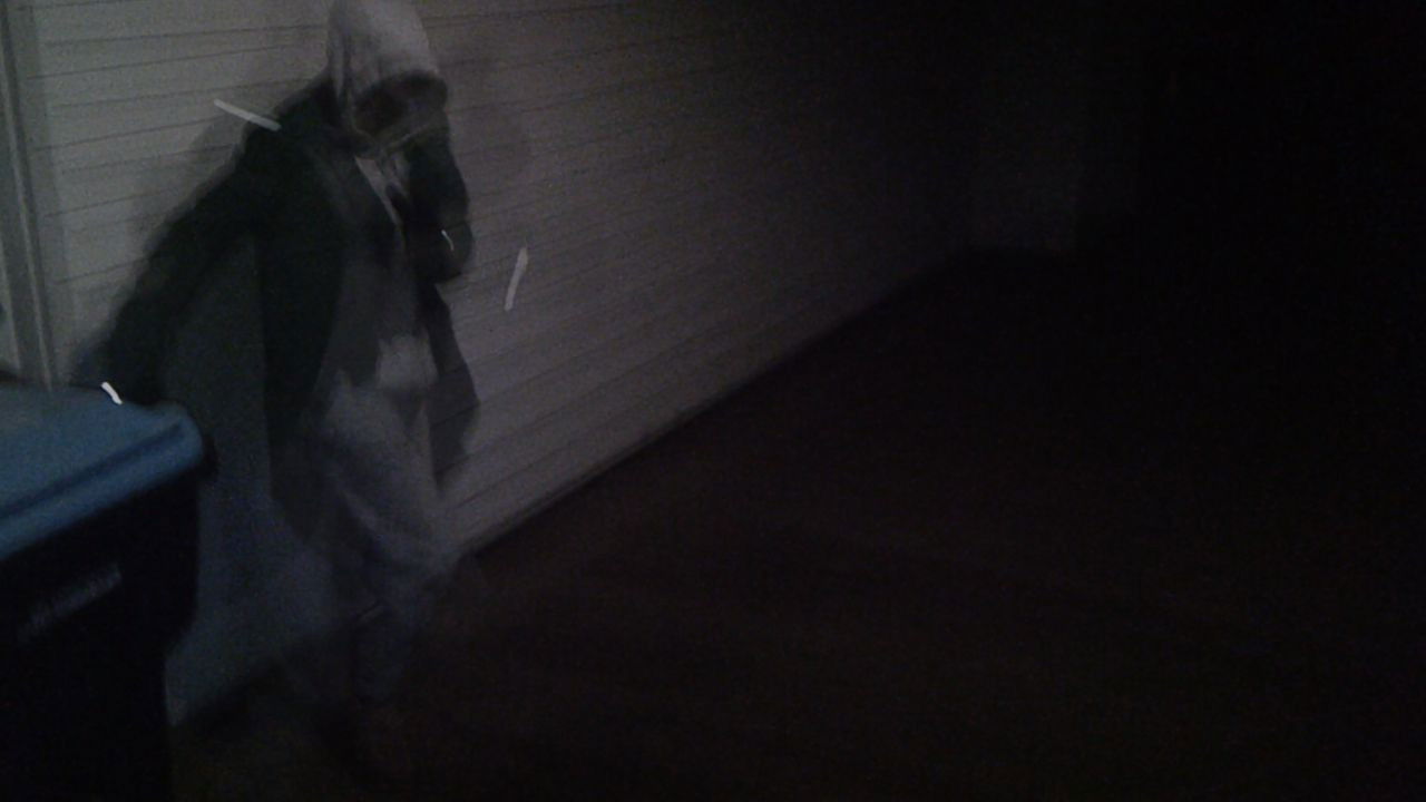 fish dealer backdrop