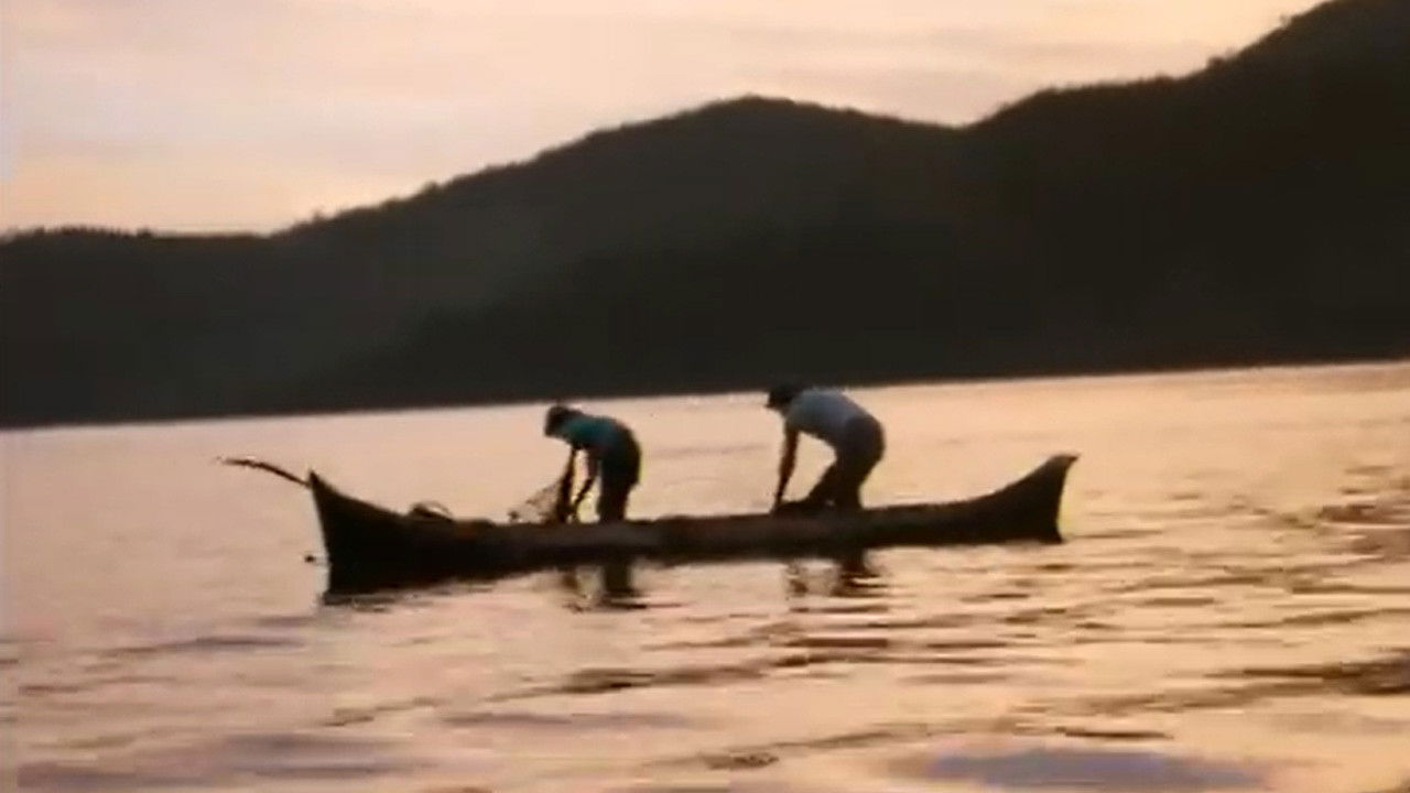 Paraty - Impressões backdrop