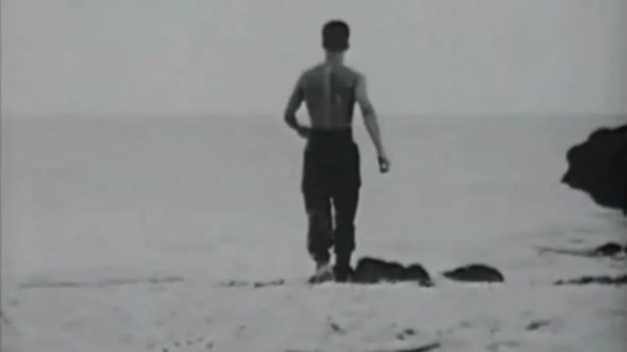 The Forbidden Files backdrop