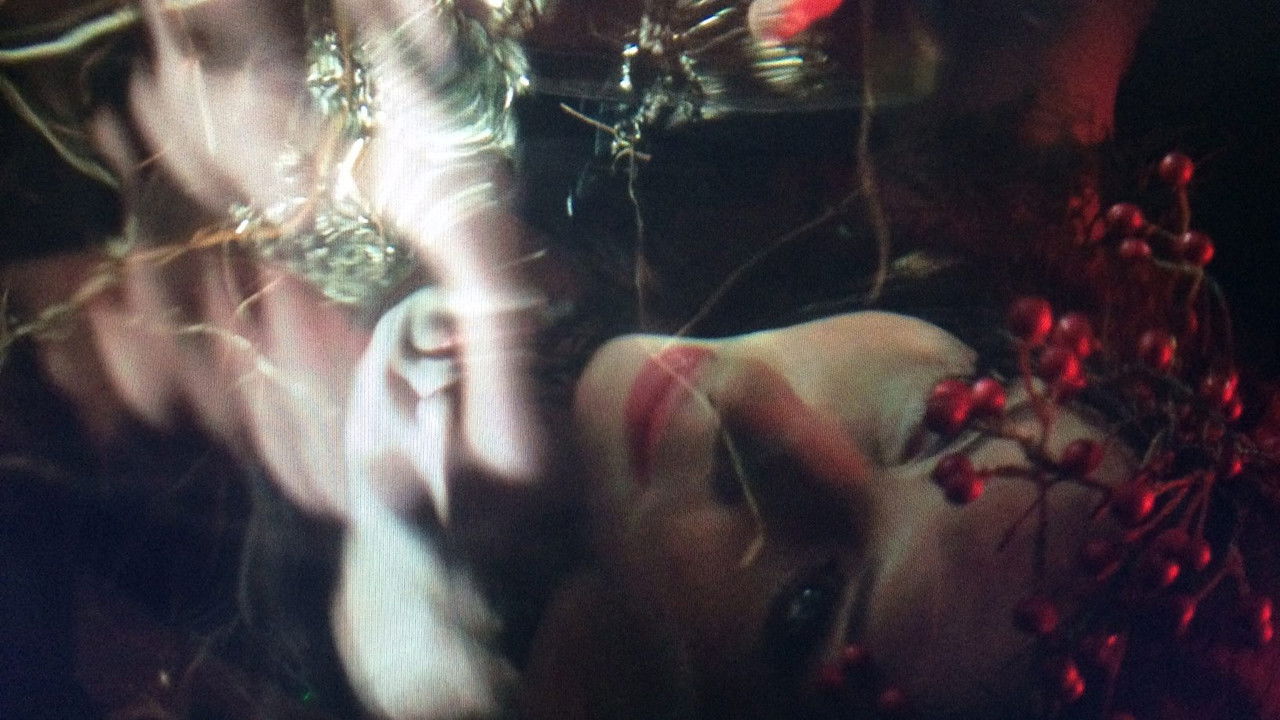 Cobblers' Lot backdrop