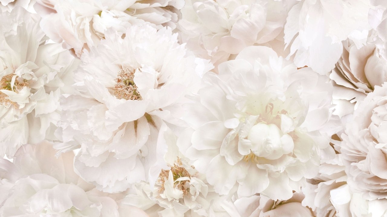 Deadly Vows backdrop