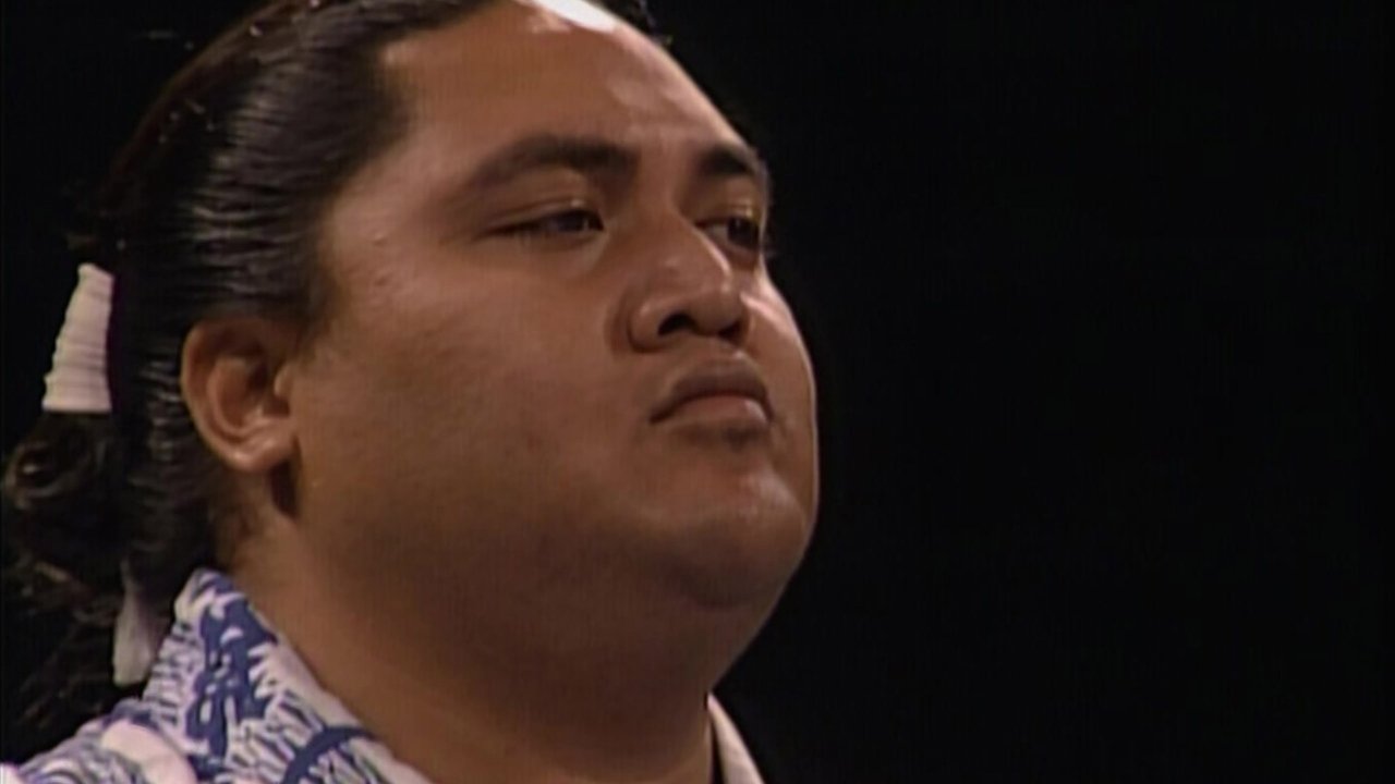 WWE Bashed in the USA backdrop