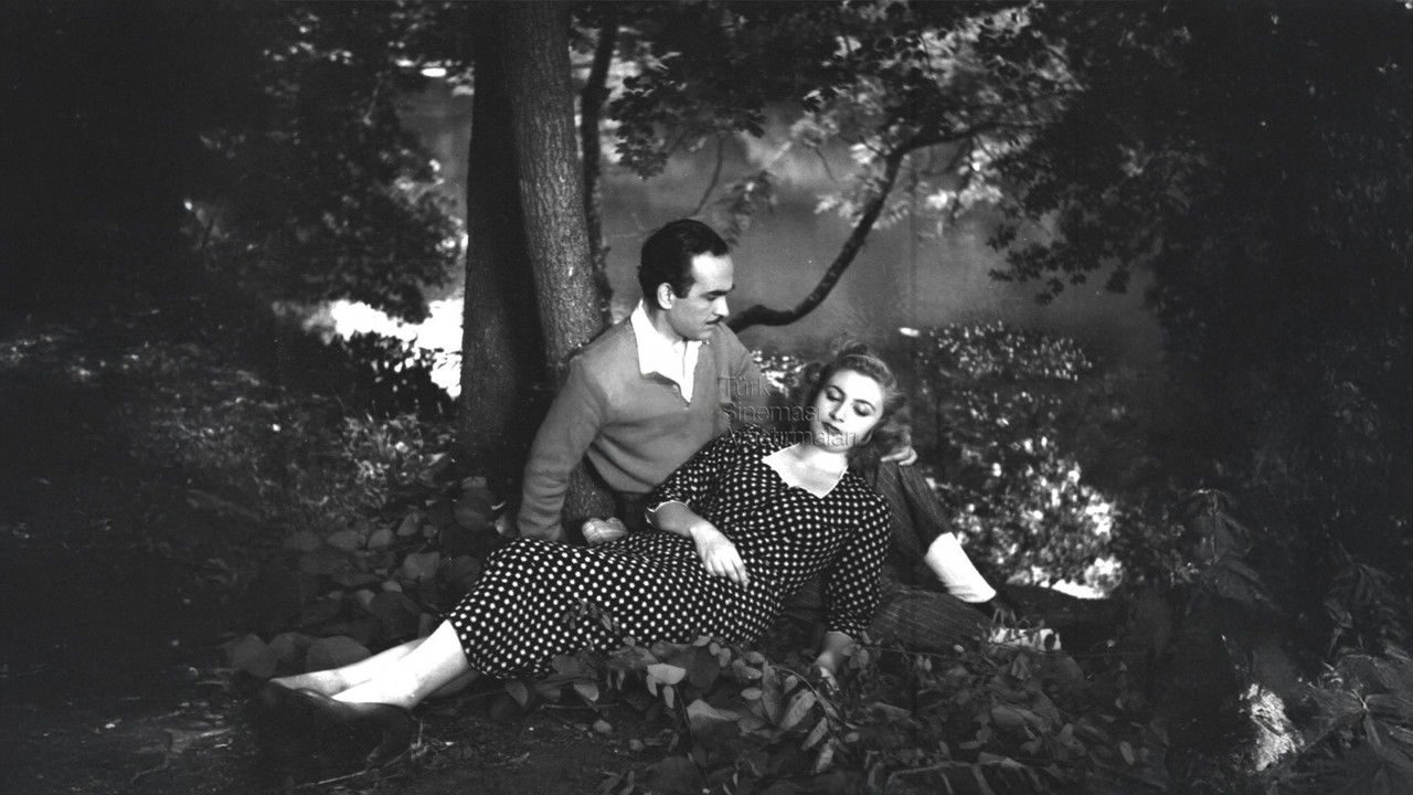 Allaha Ismarladık backdrop