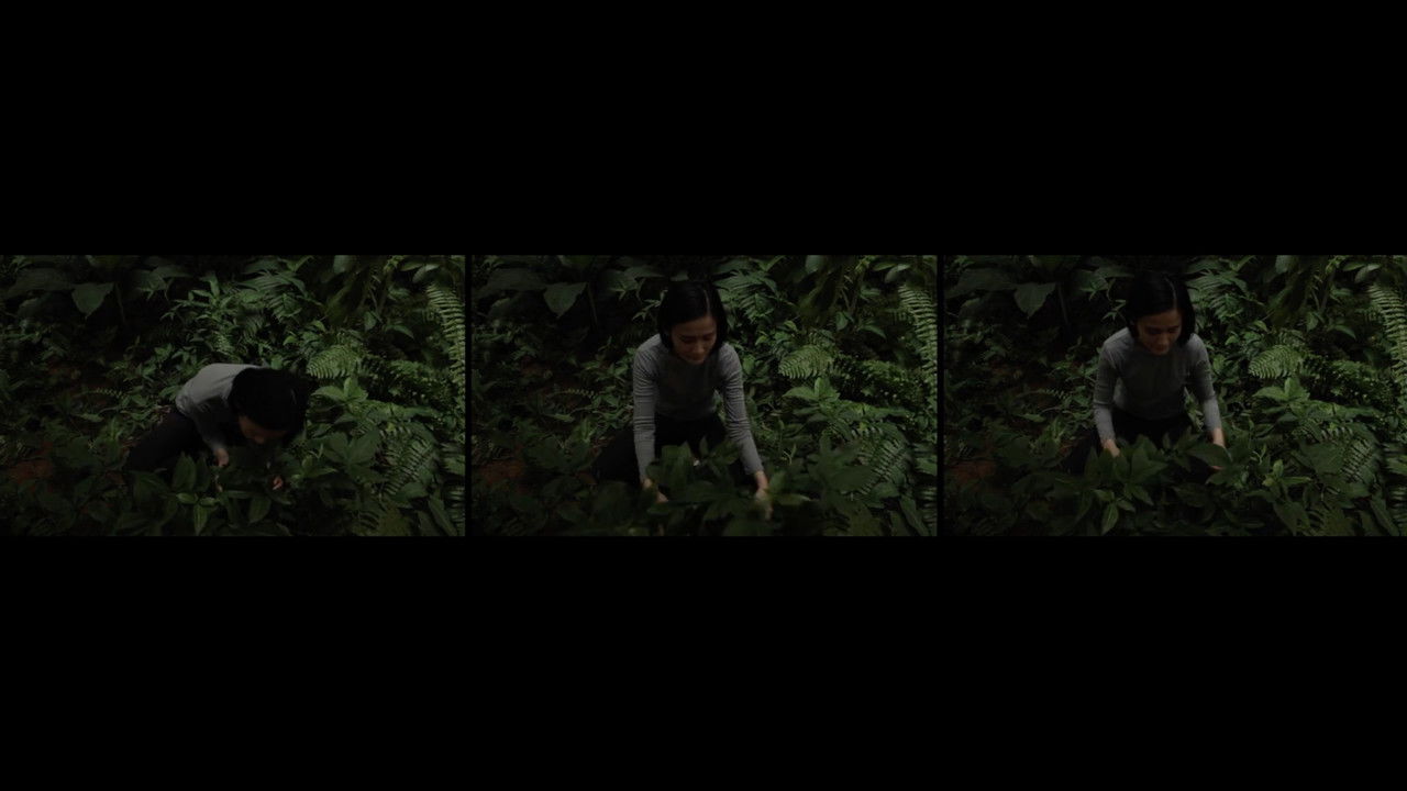 Anitya (Impermanence) backdrop