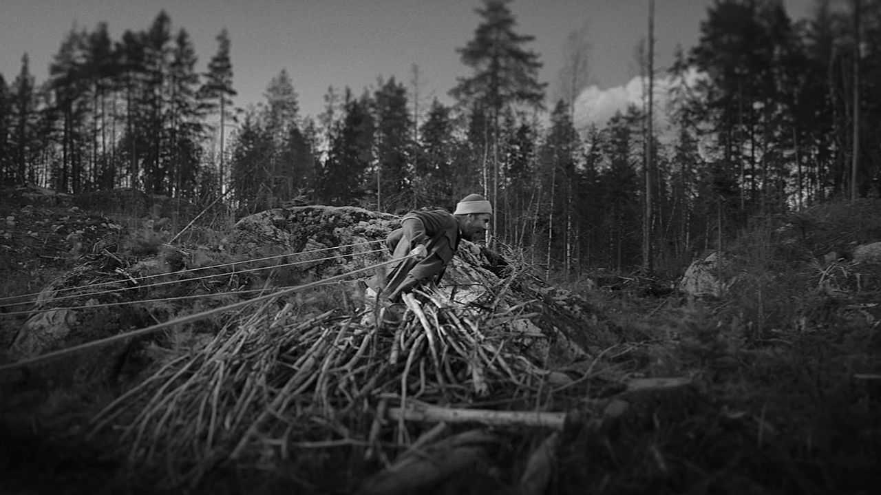 Rays of Light backdrop