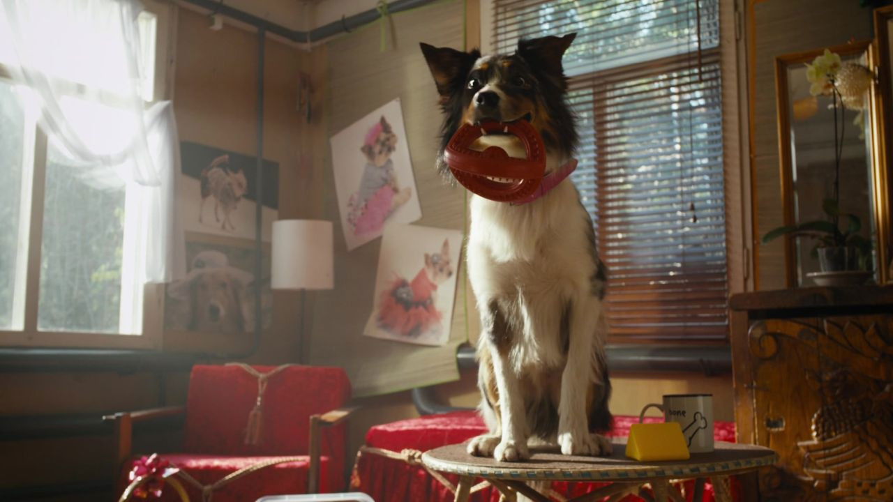 It's Not My Freaking Business backdrop