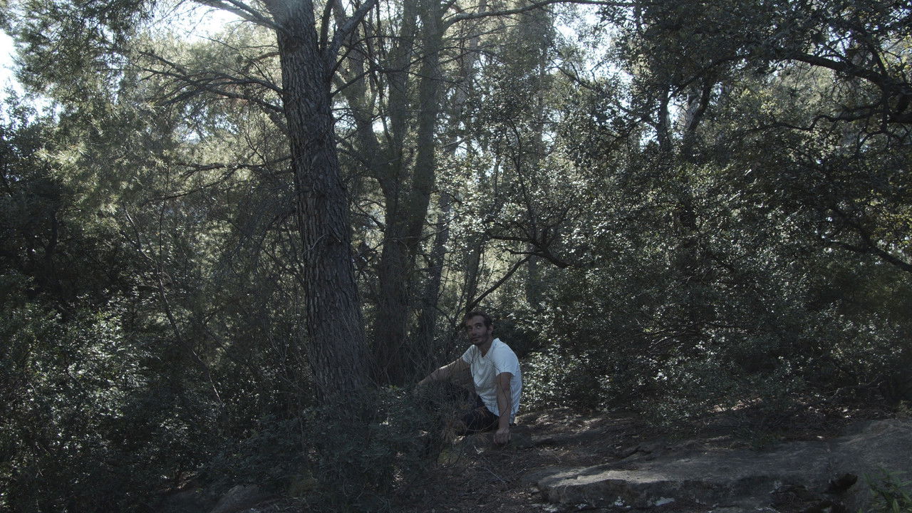 The iron man. backdrop