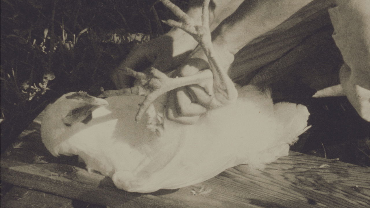 A History of Dancing backdrop