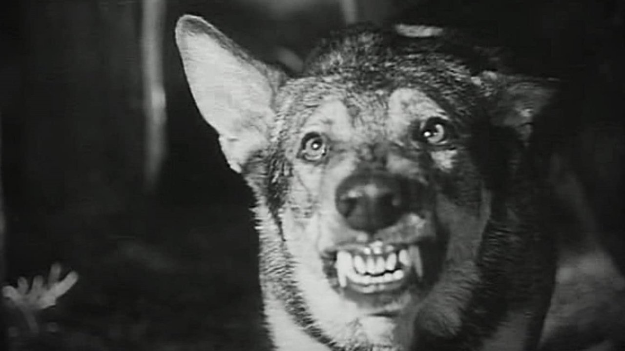 Daughter of Darkness backdrop