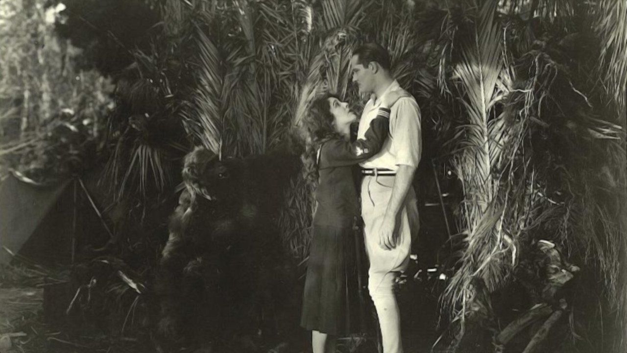 Lorraine of the Lions backdrop