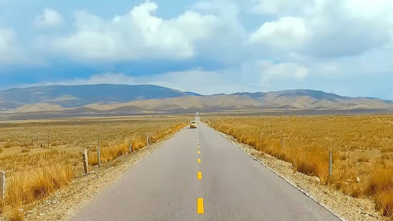 Seek Ultraman backdrop