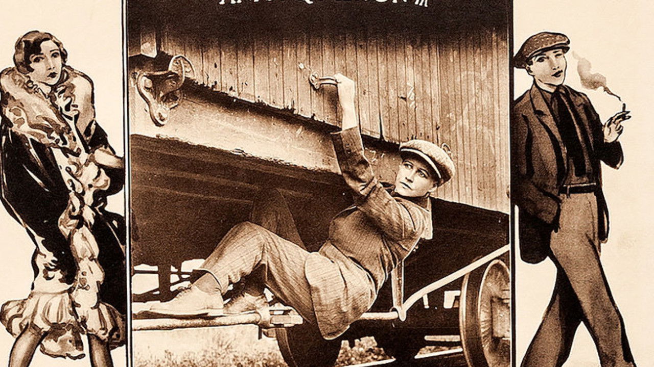 Miss Nobody backdrop