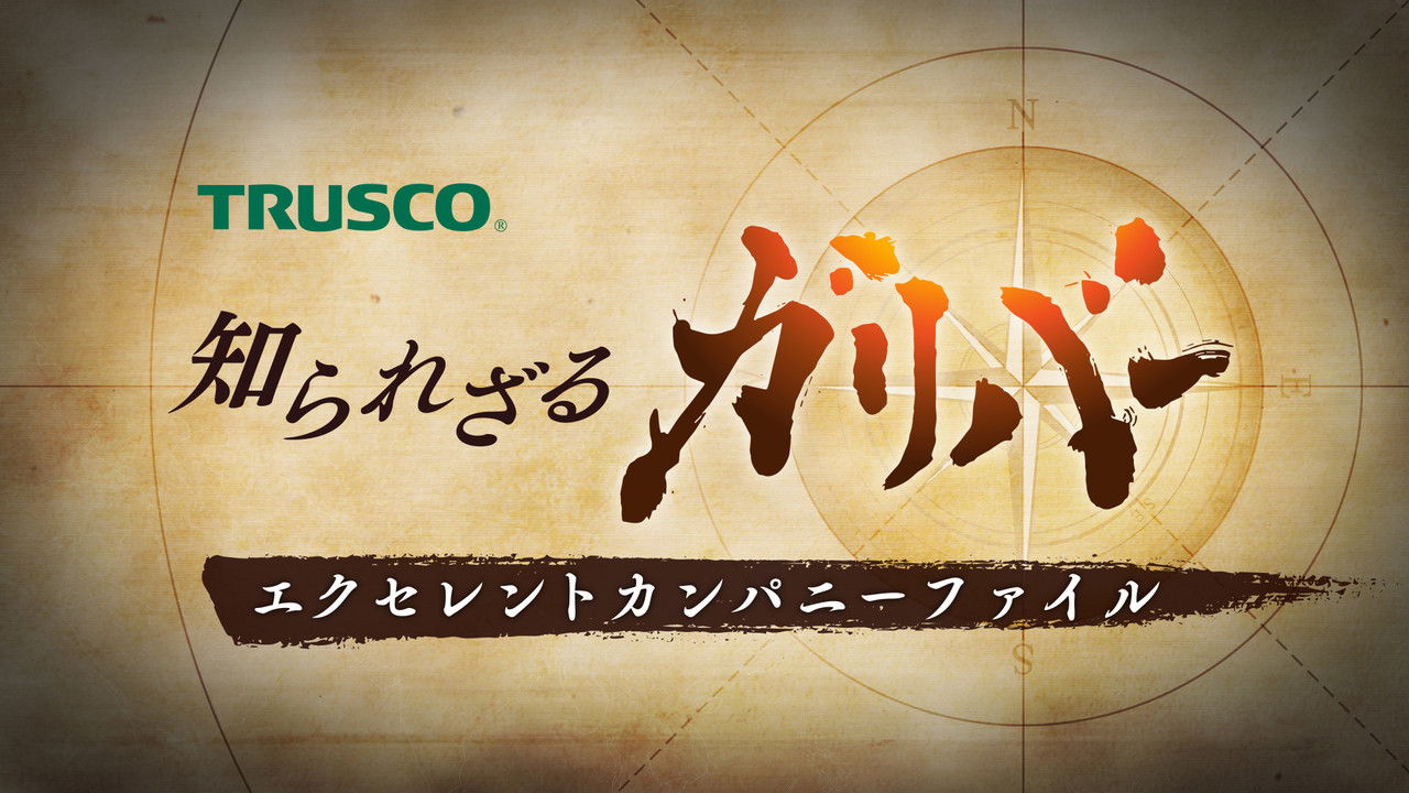 Hidden Gullivers: Profiles of Outstanding Companies backdrop