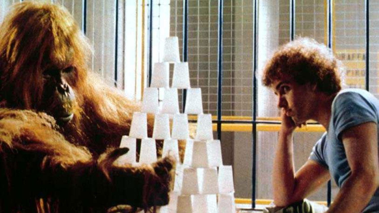 Noccioline a colazione backdrop