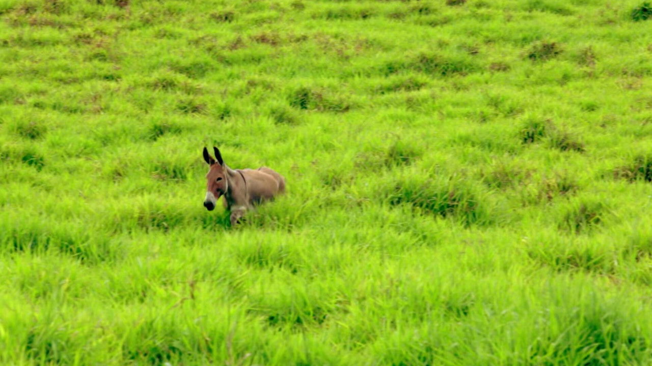 Guardiões da Terra backdrop