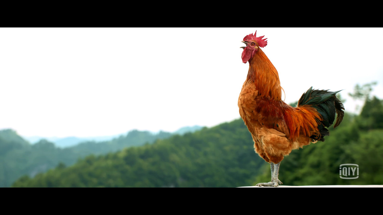 Hold Your Hands backdrop