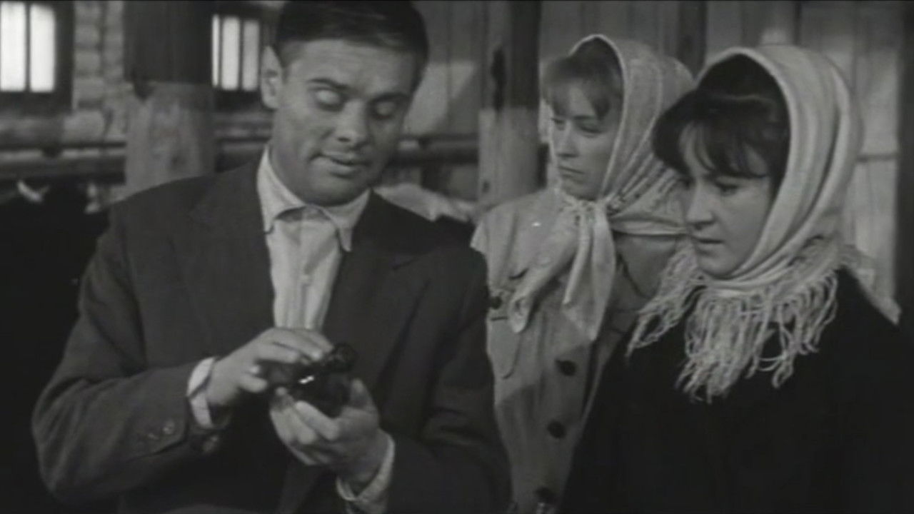 Встречи на рассвете backdrop