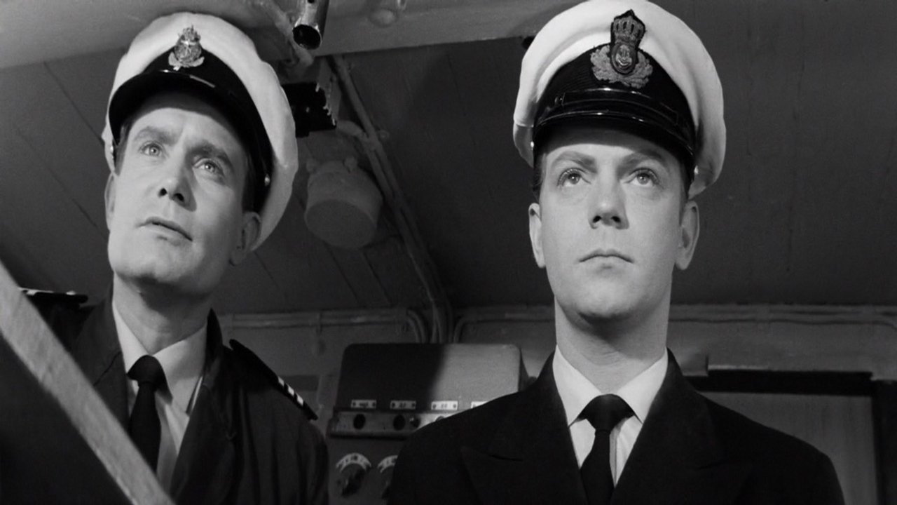 Sorte Shara backdrop