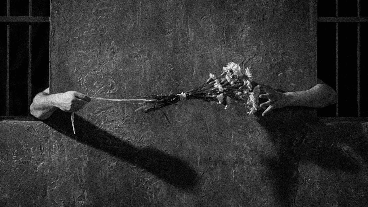 Song of Love backdrop