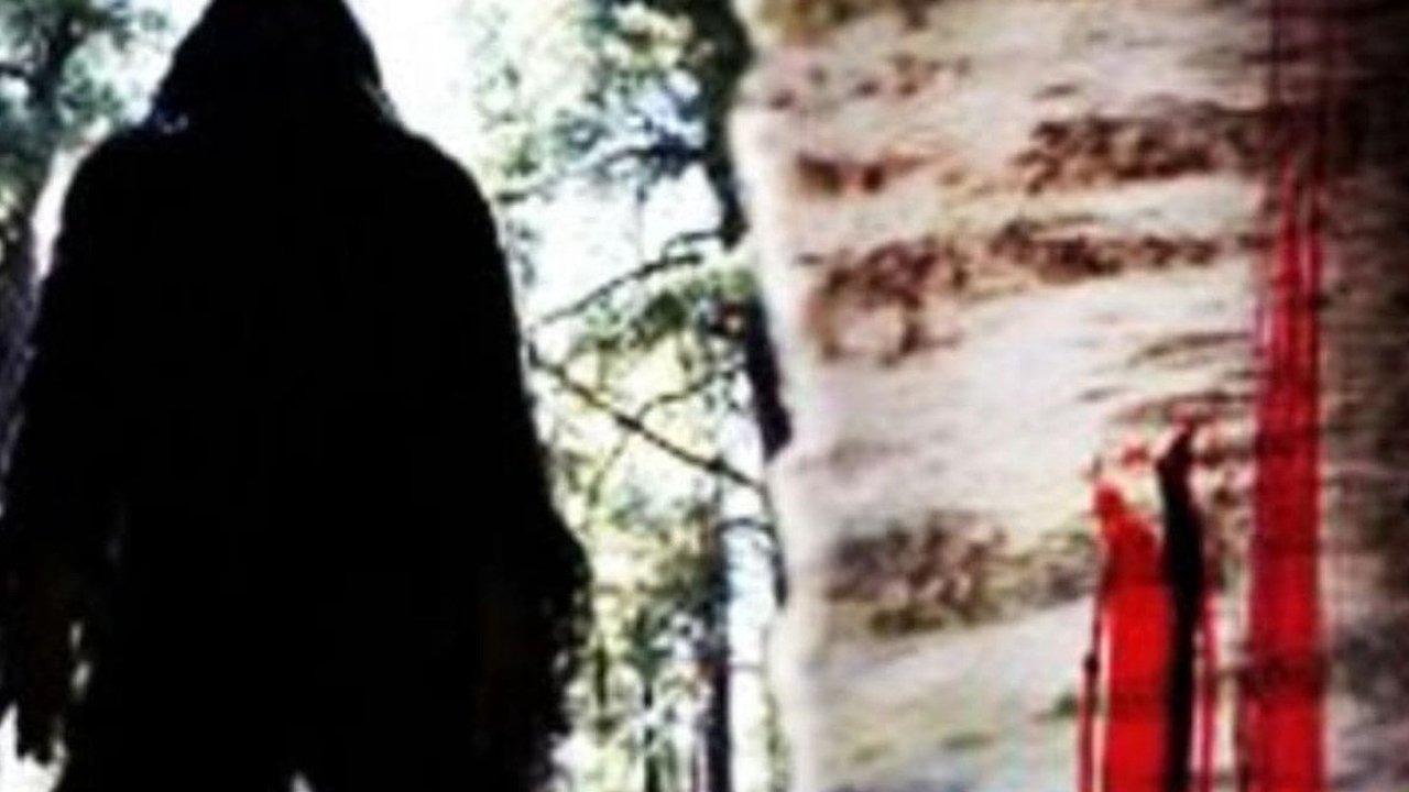 Sasquatch Mountain backdrop