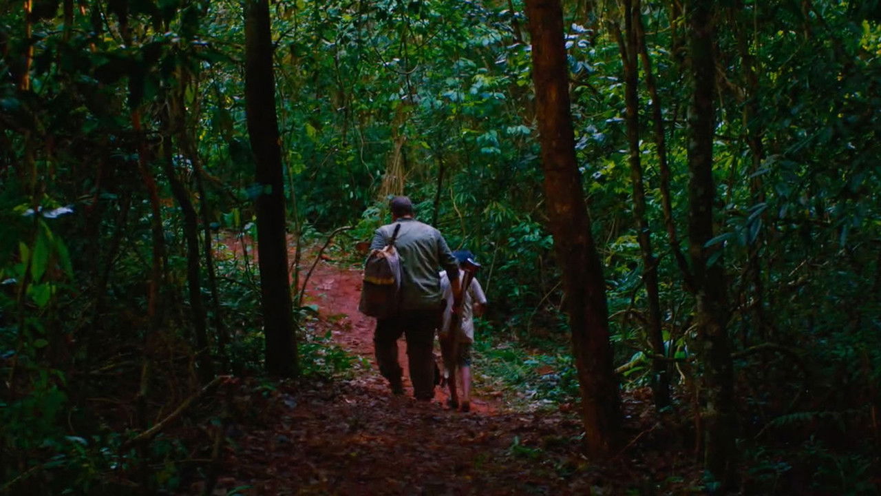 El silencio del cazador backdrop