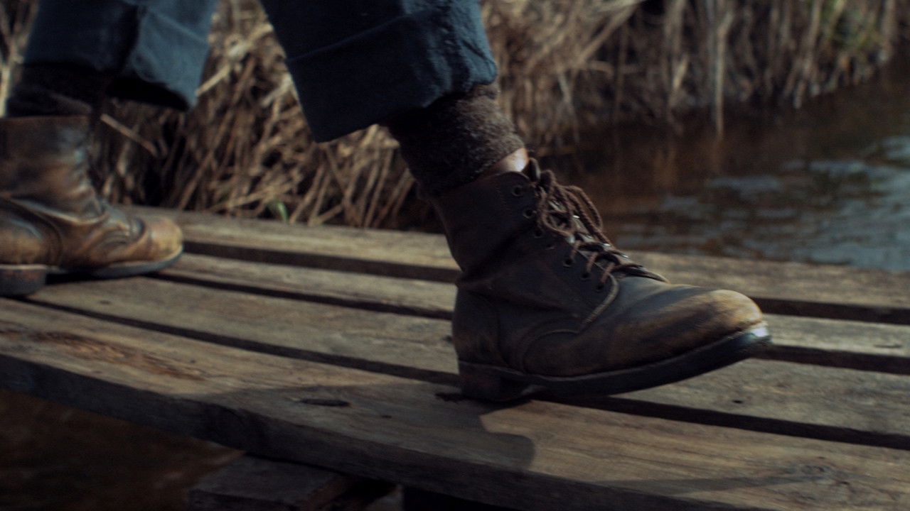 The Fish of My Life backdrop