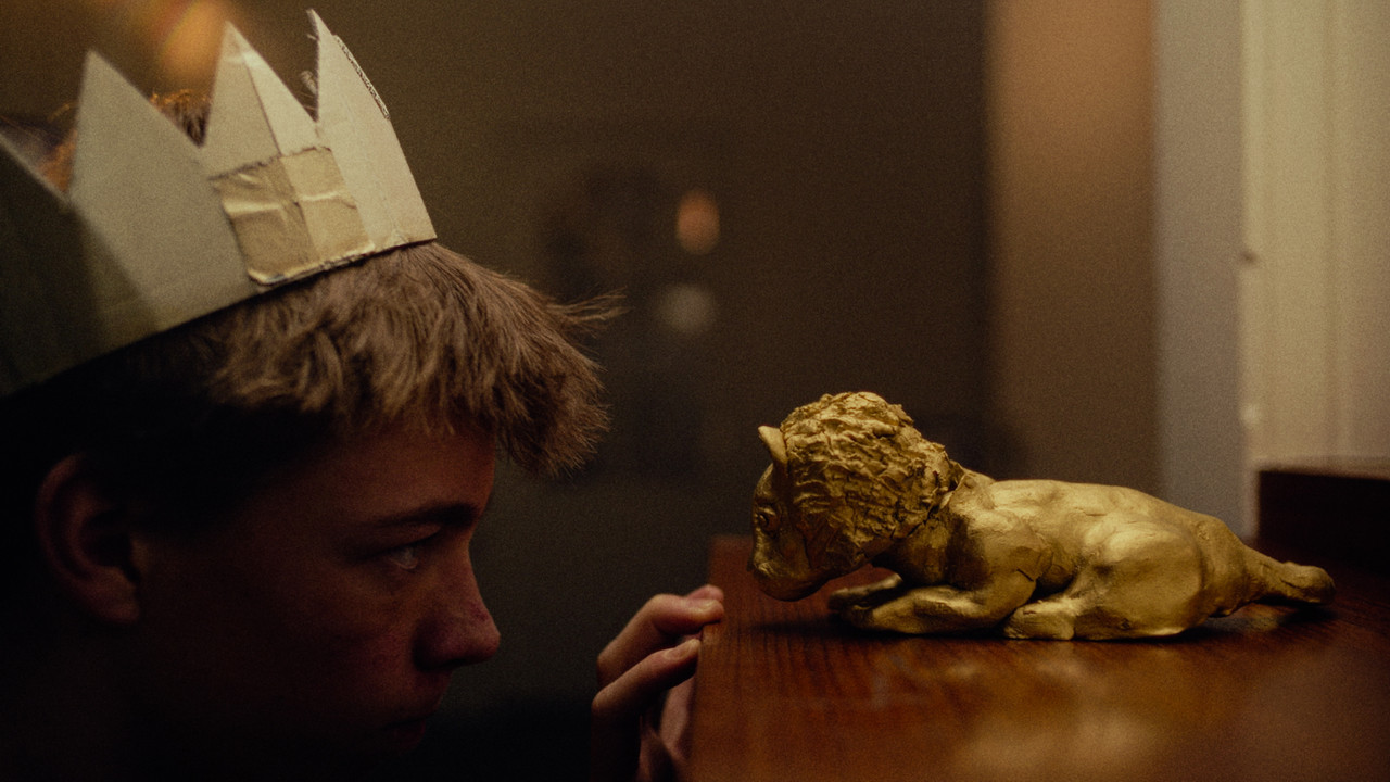 Blauw Bloed Bestaat Niet backdrop