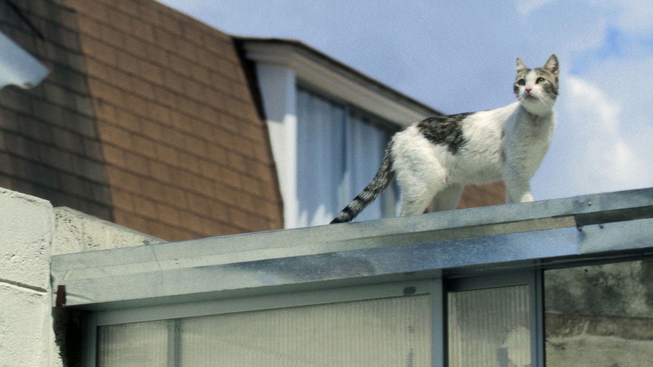 Damned Old People backdrop