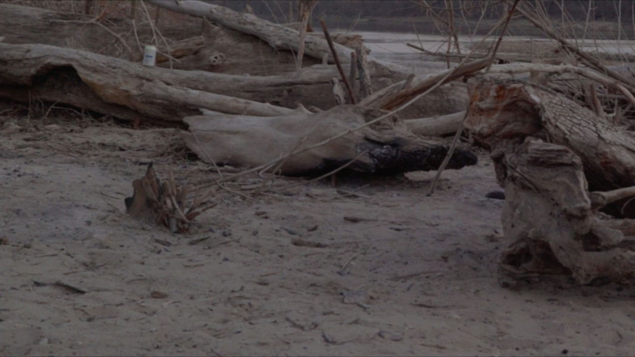 The Way Things Can Happen backdrop