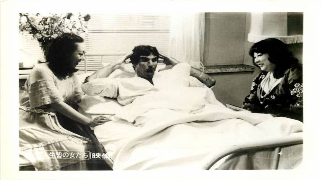 Harry and His Geisha Girls backdrop