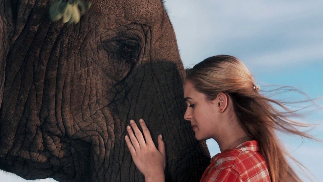 Sophie & Sheba backdrop