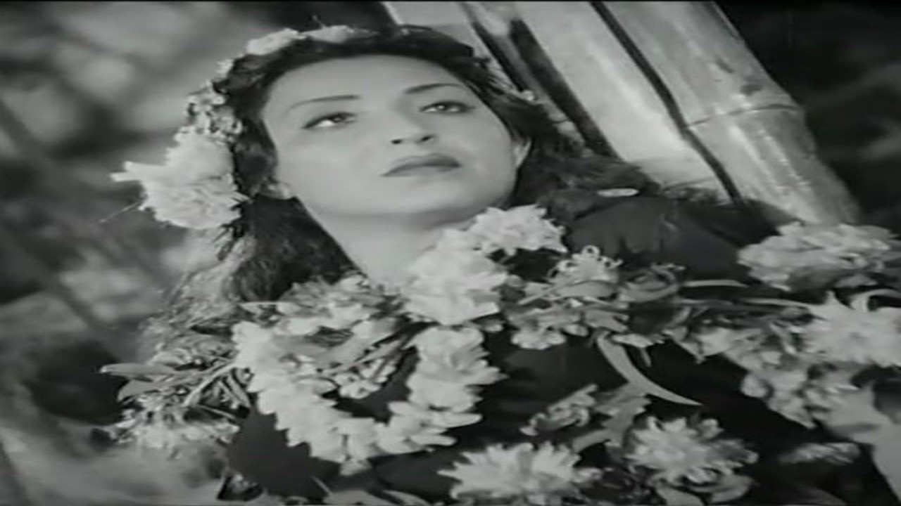 Valley of stars backdrop