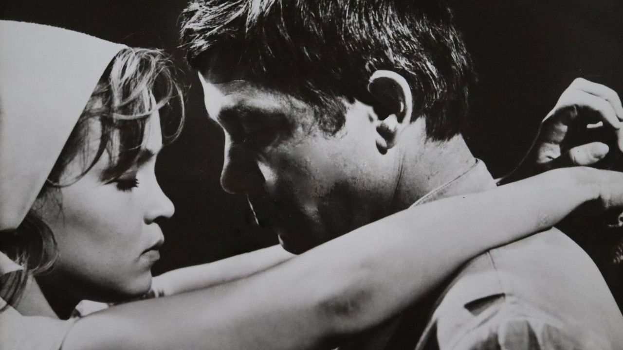 Men Are Greying Young backdrop