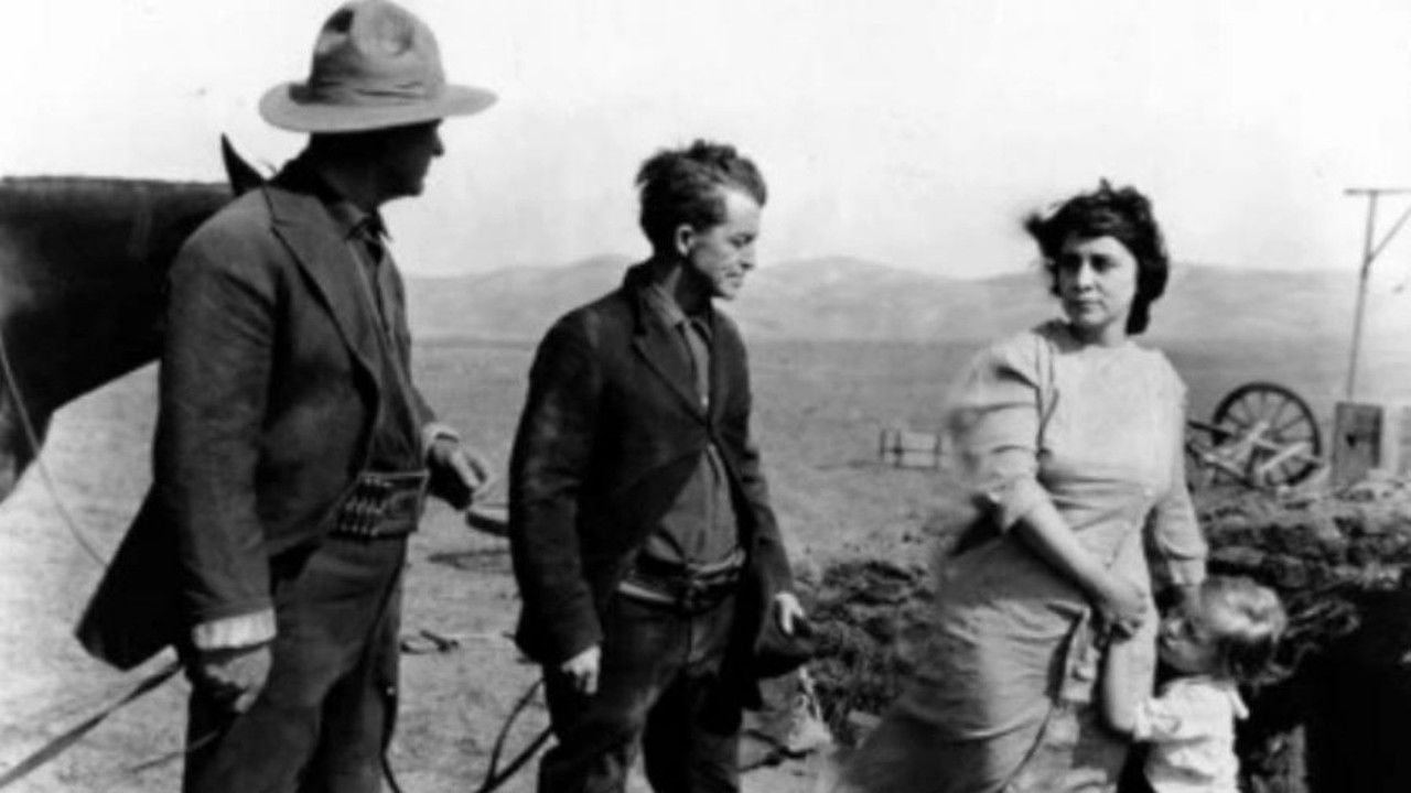 The Lady of the Dugout backdrop