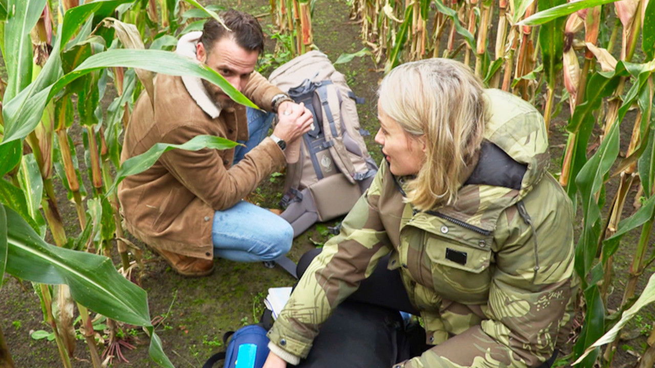 De Invasie van België backdrop