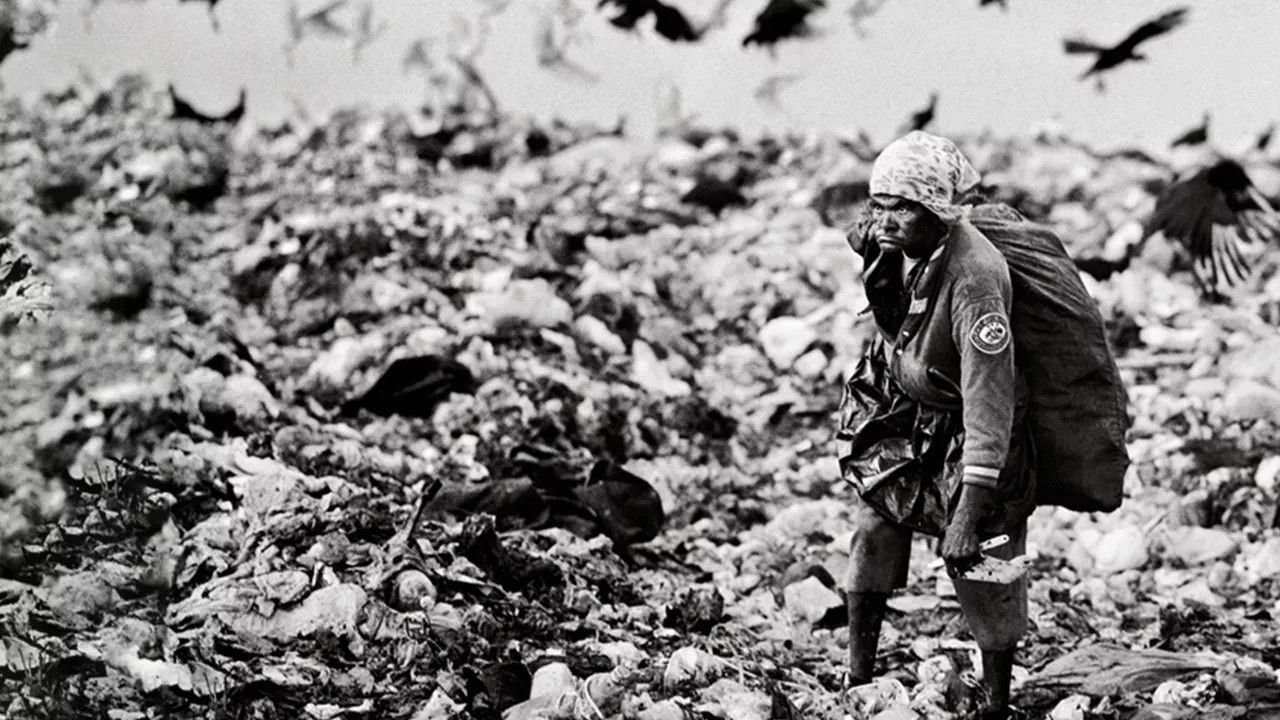 Estamira Para Todos E Para Ninguém backdrop