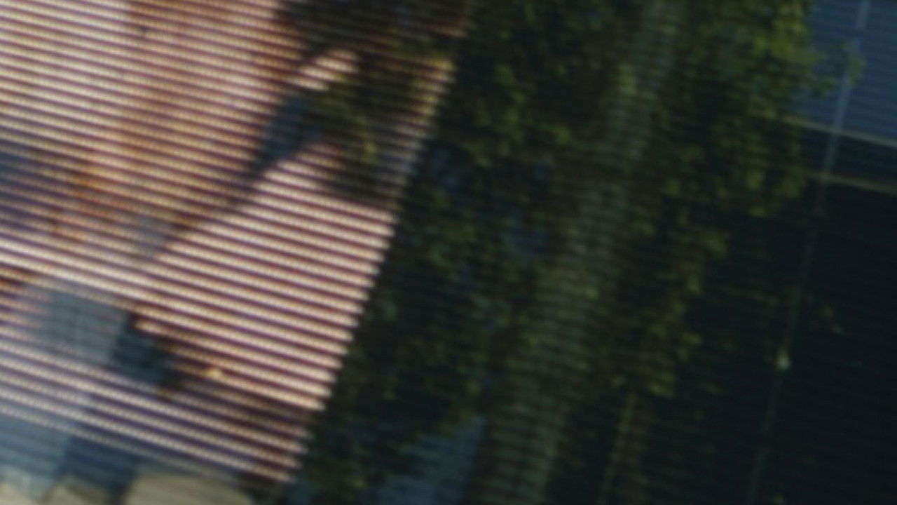 Colophon (for the Arboretum Cycle) backdrop