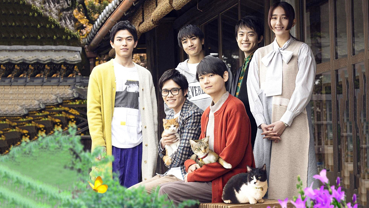 Cat Sharehouse backdrop