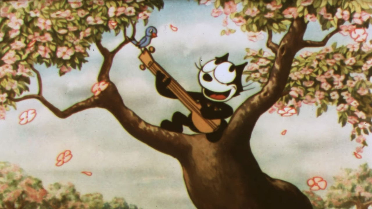 Bold King Cole backdrop