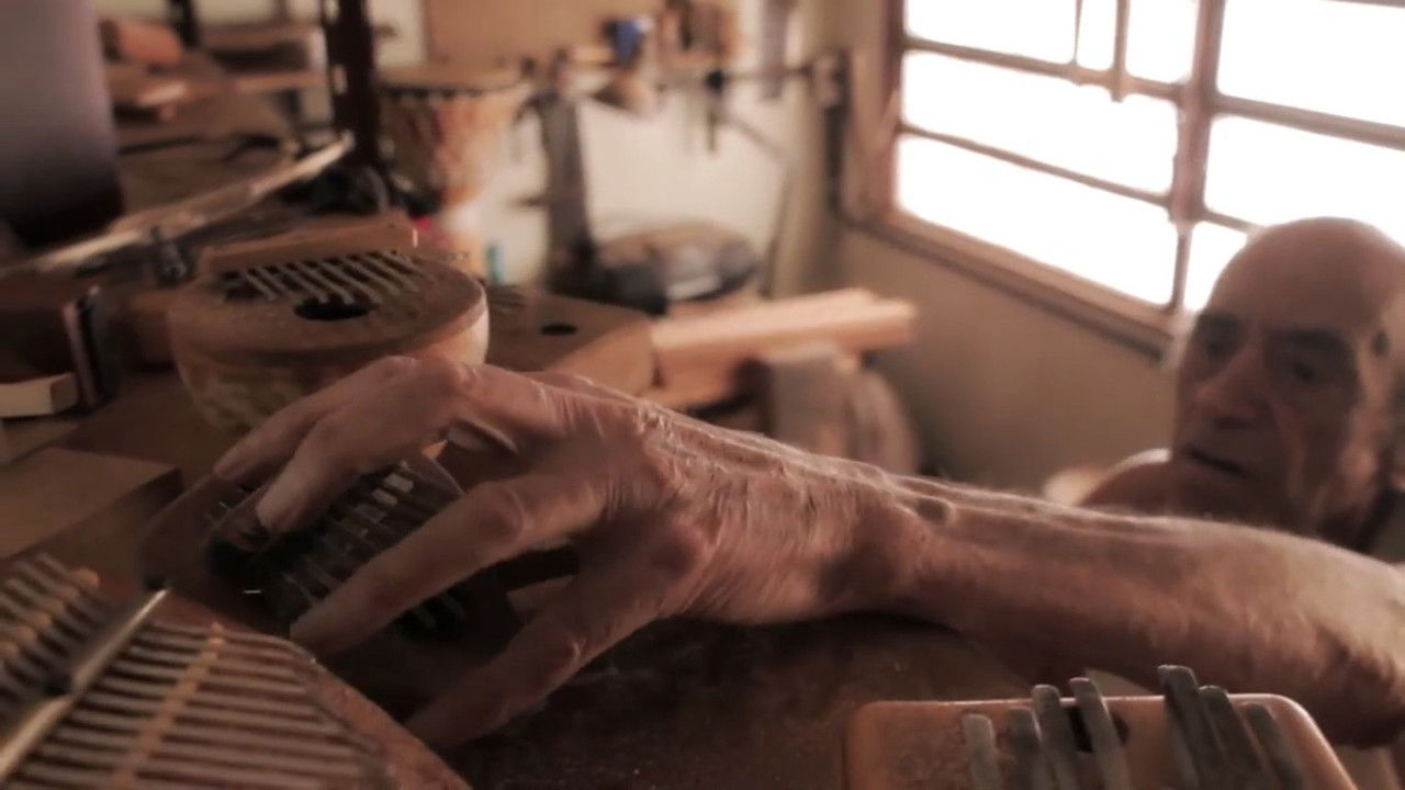 Mucho gusto backdrop