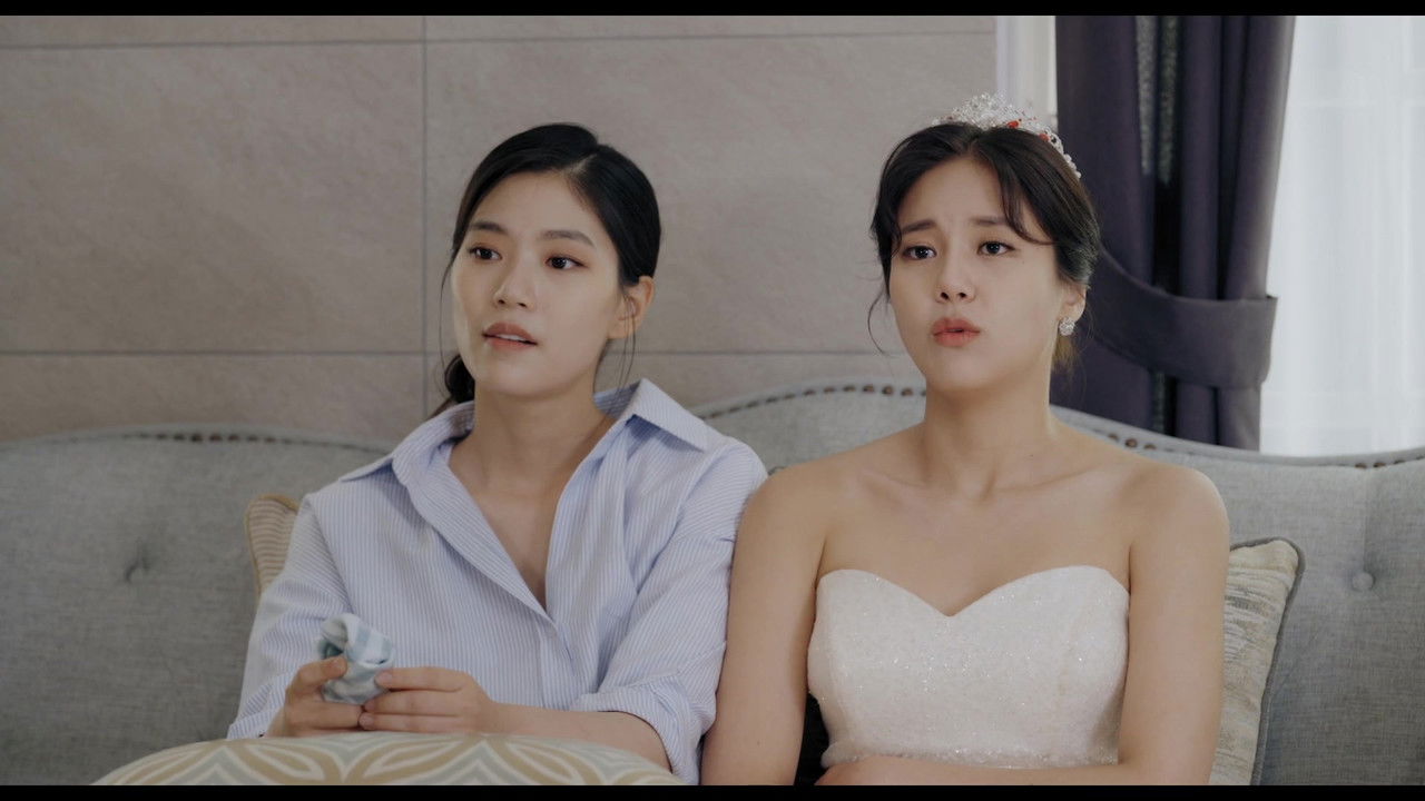 Unwavering Dandelion backdrop