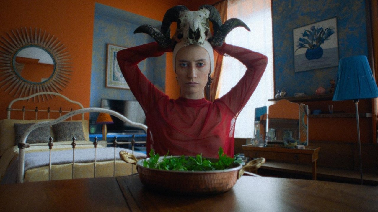 The Night Screening backdrop