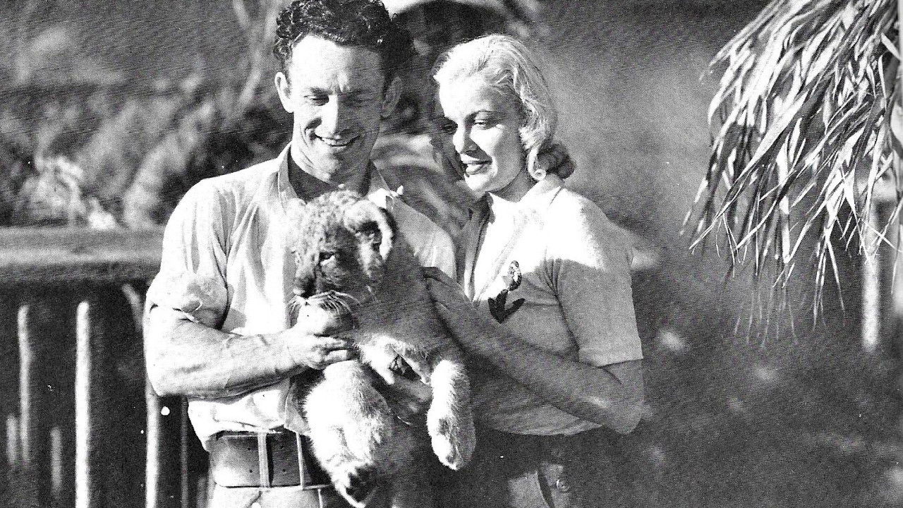 The Lost Jungle backdrop