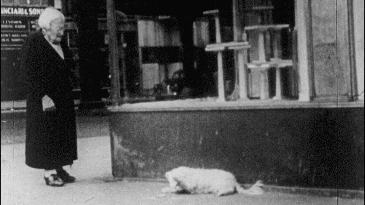 In the Street backdrop