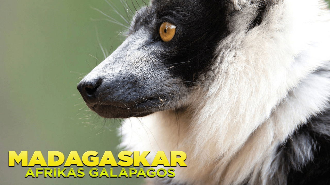 Madagascar: Africa's Galapagos backdrop