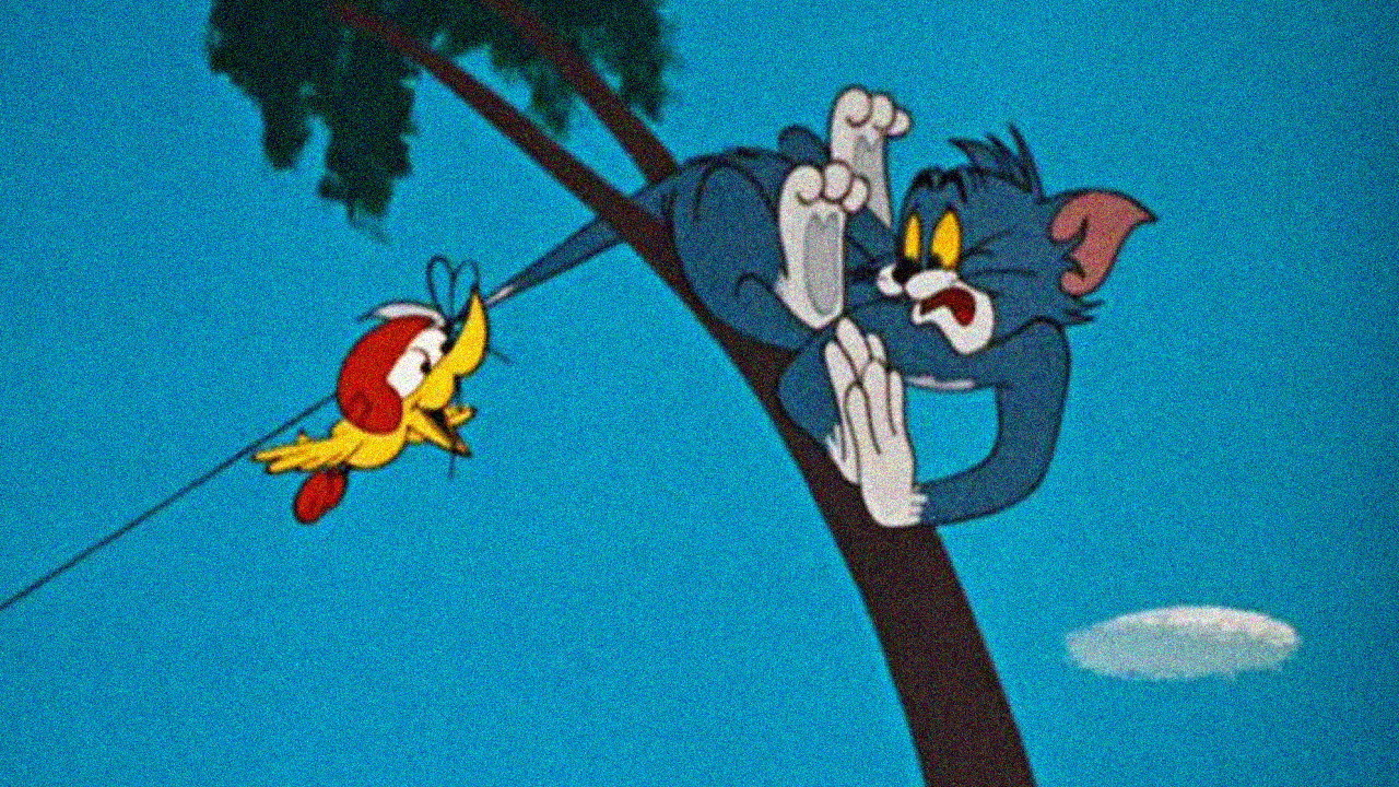 Landing Stripling backdrop