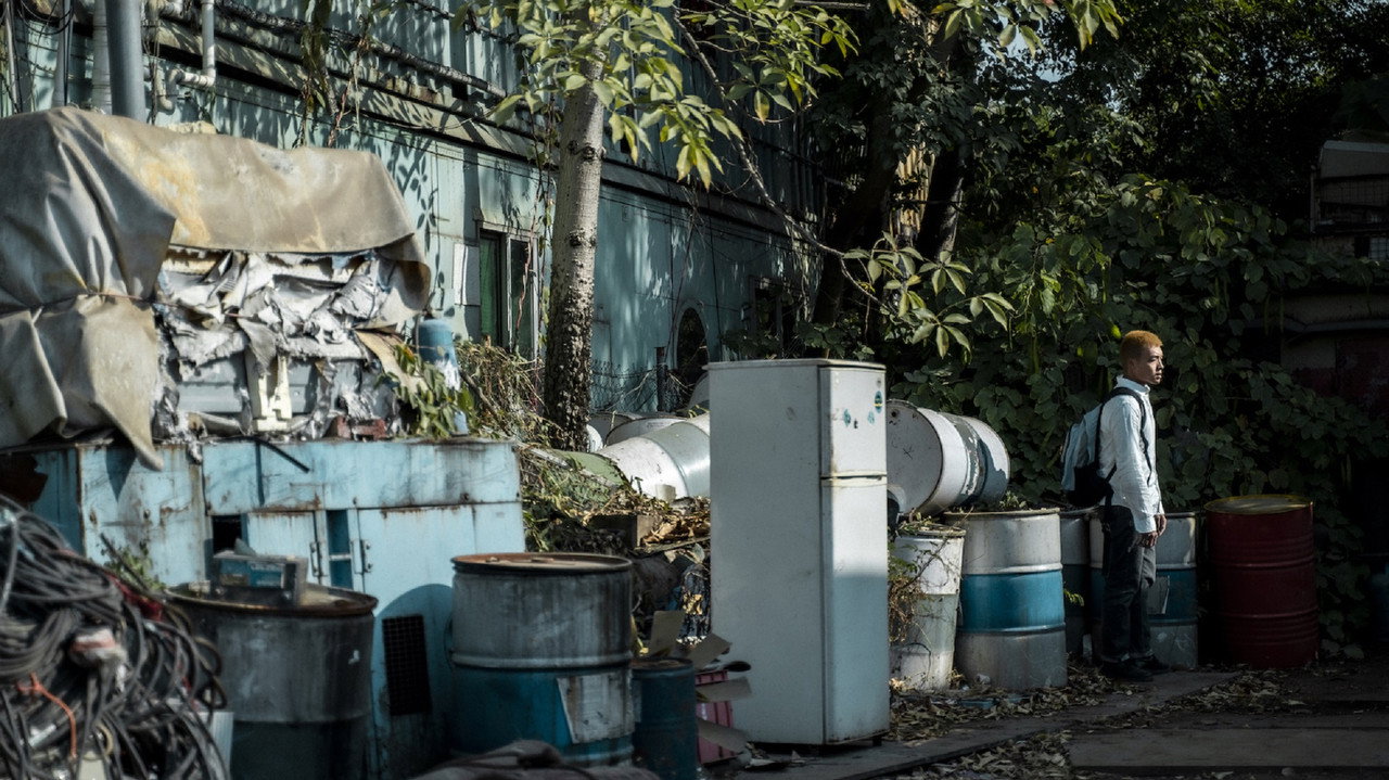 The Shape of Leaping backdrop