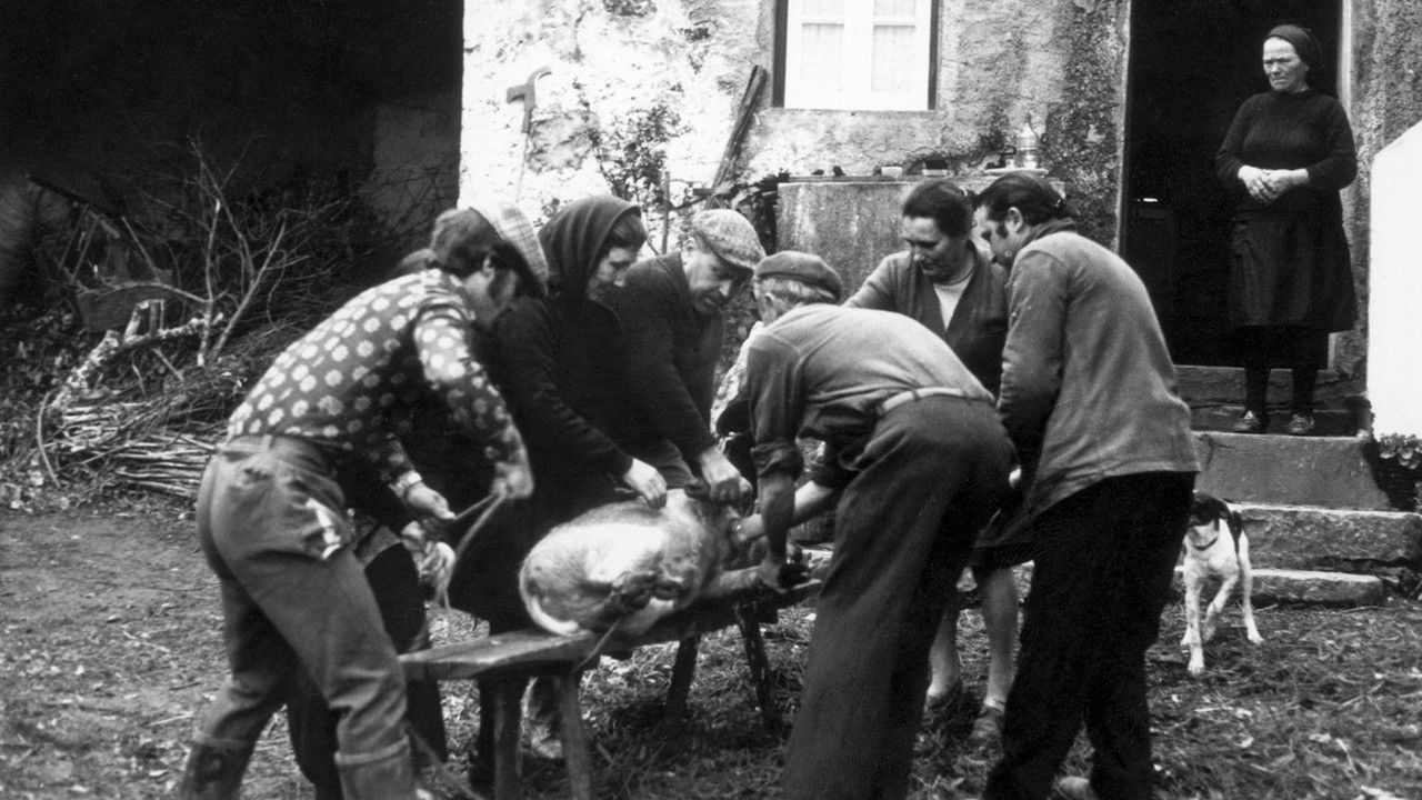 Nós Por Cá Todos Bem backdrop